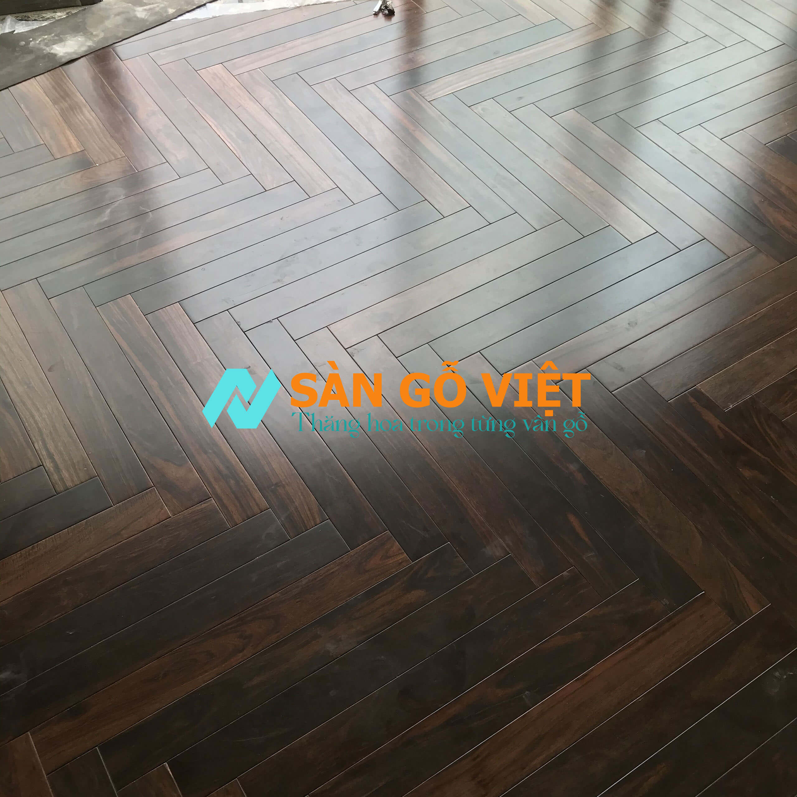 Sản phẩm